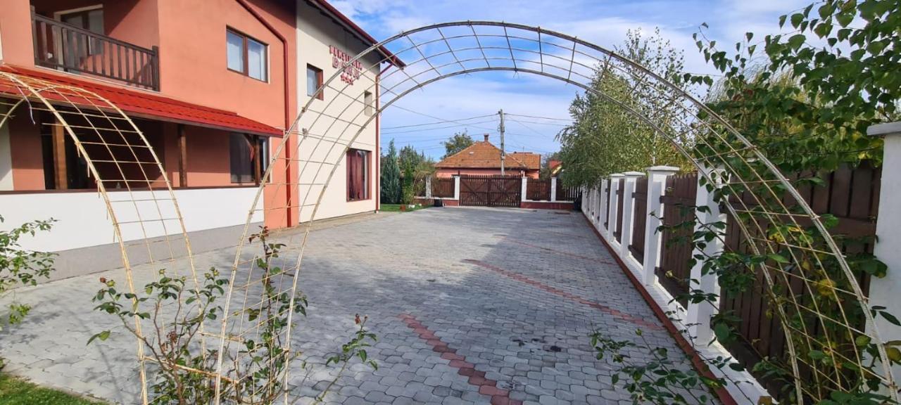 Pensiunea Dara Rîşnov エクステリア 写真