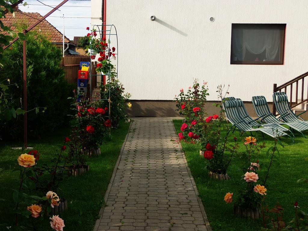Pensiunea Dara Rîşnov エクステリア 写真